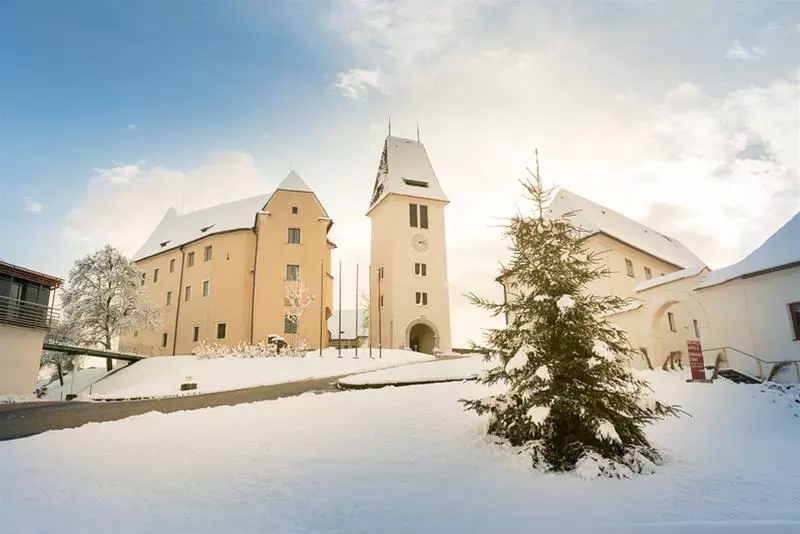 בית מלון כפרי Schloss Seggau