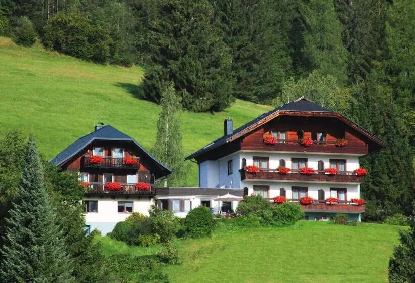 Pension & Appartements Ronacherhof