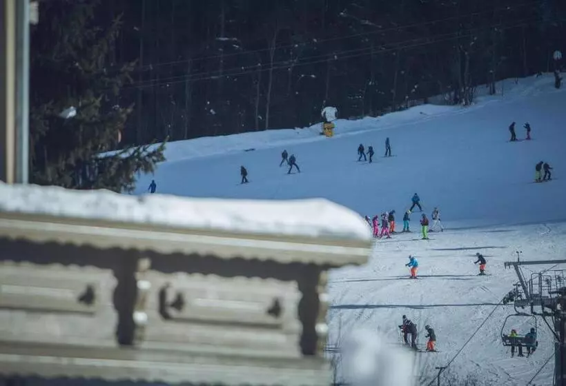 Ski In I Ski Out Gourmethotel Sonnleiten