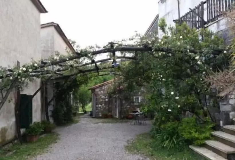 Azienda Agricola Le Tore Srl