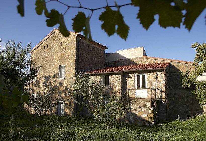 Azienda Agricola Le Tore Srl