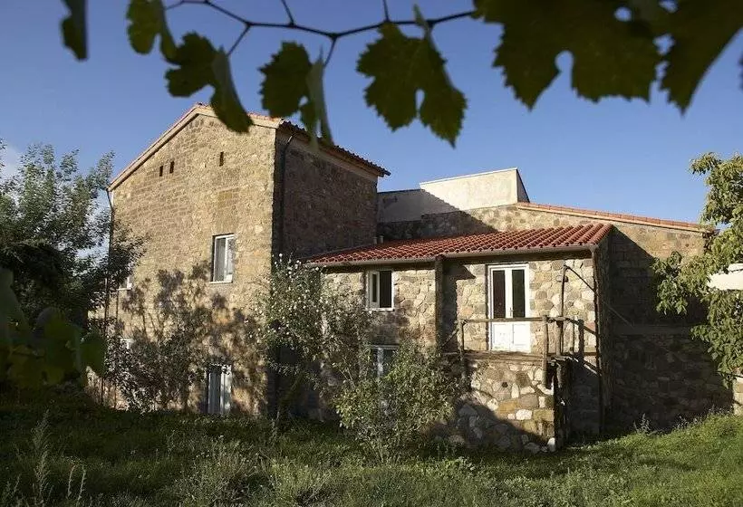 Azienda Agricola Le Tore Srl