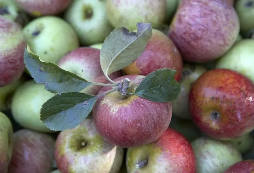 Azienda Agricola Le Tore Srl