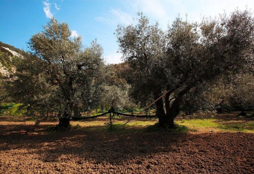 Azienda Agricola Le Tore Srl