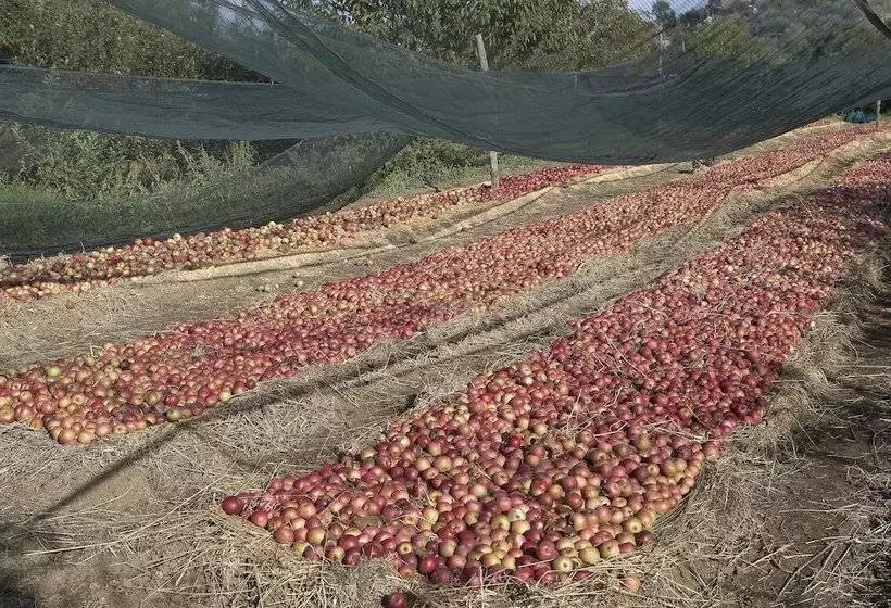 Azienda Agricola Le Tore Srl