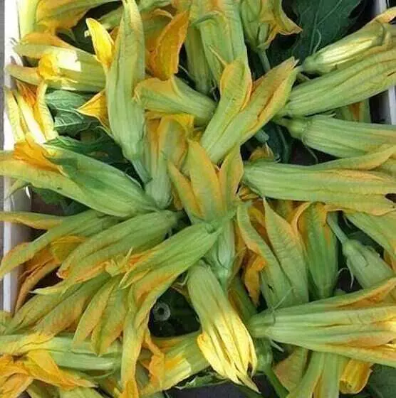 Azienda Agricola Le Tore Srl