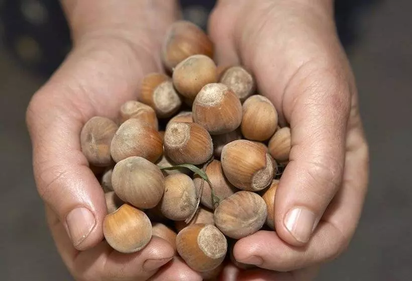 Azienda Agricola Le Tore Srl