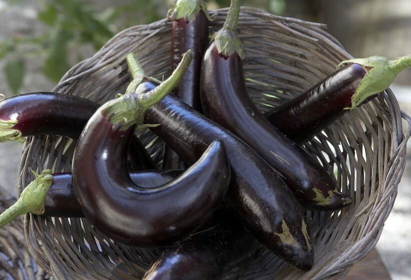 Azienda Agricola Le Tore Srl