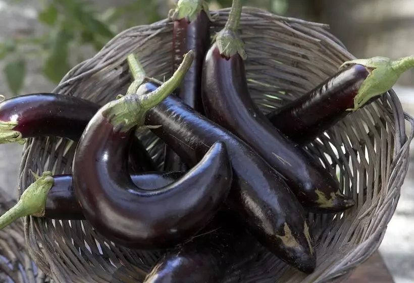 Azienda Agricola Le Tore Srl