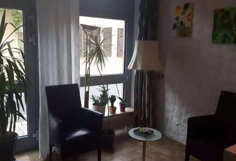 בית מלון כפרי Central