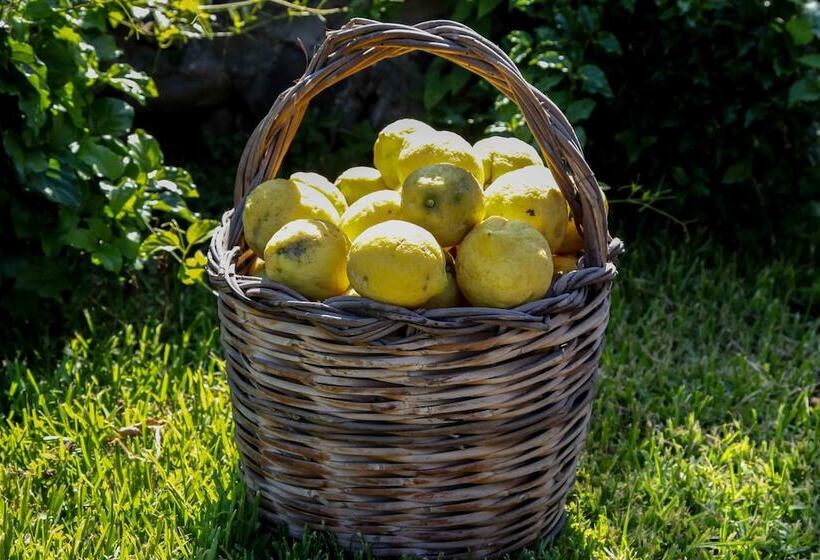 هتل Agriturismo Galea