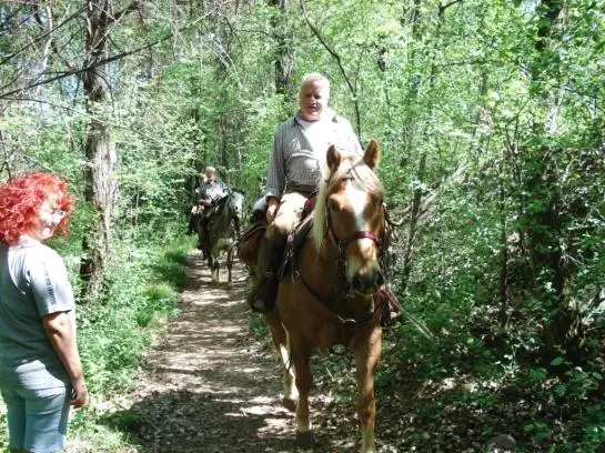 Отель Goldenhof