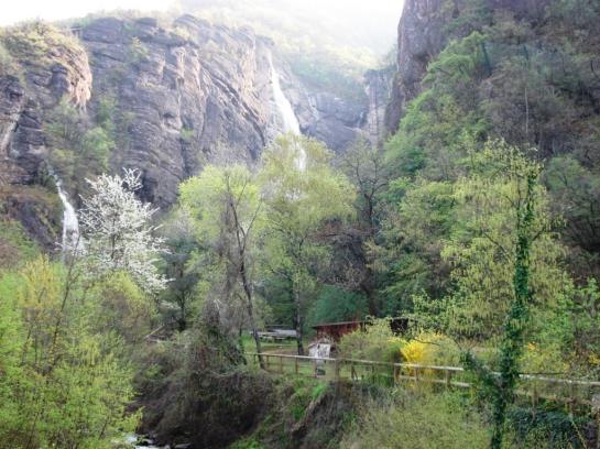 Отель Goldenhof