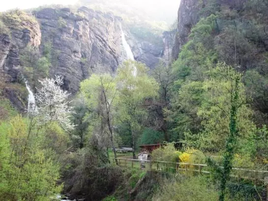 Отель Goldenhof