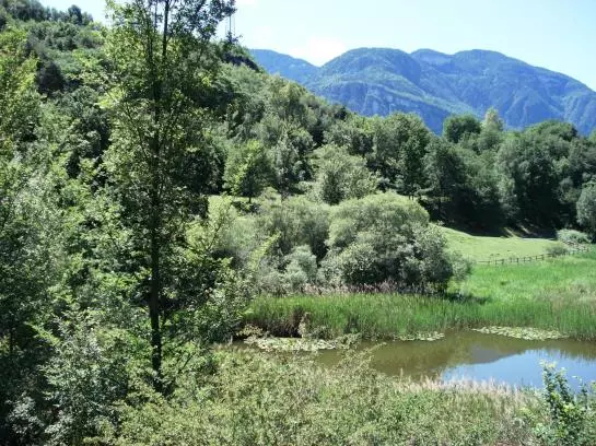 Отель Goldenhof