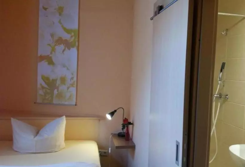 فندق Pension Grüne Linde