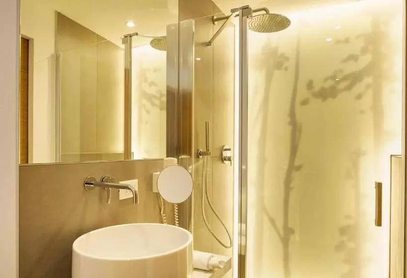 Отель Schwarzer Widder