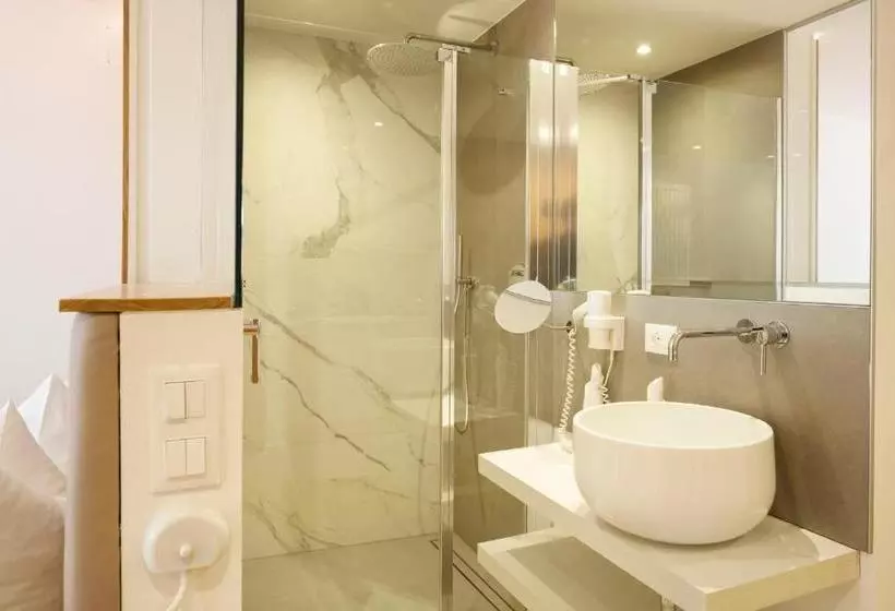 Отель Schwarzer Widder