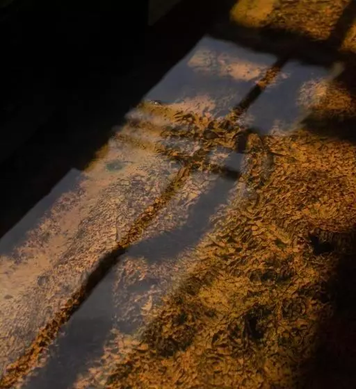 Hotel Terme Leonardo