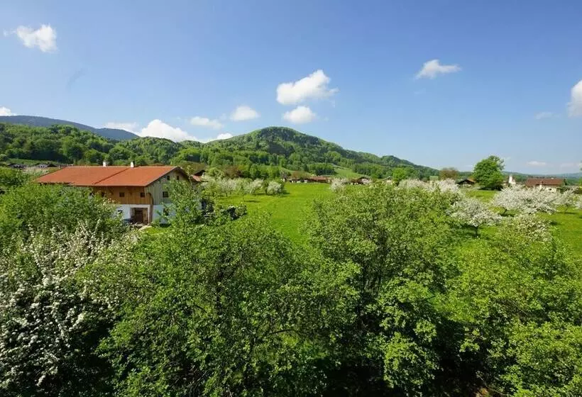 膳宿费 Gastehaus Funk