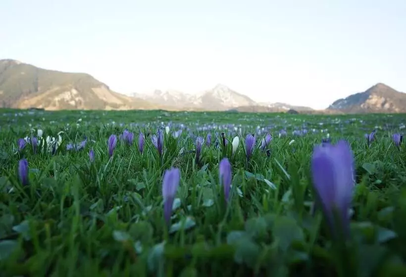 膳宿费 Gastehaus Funk