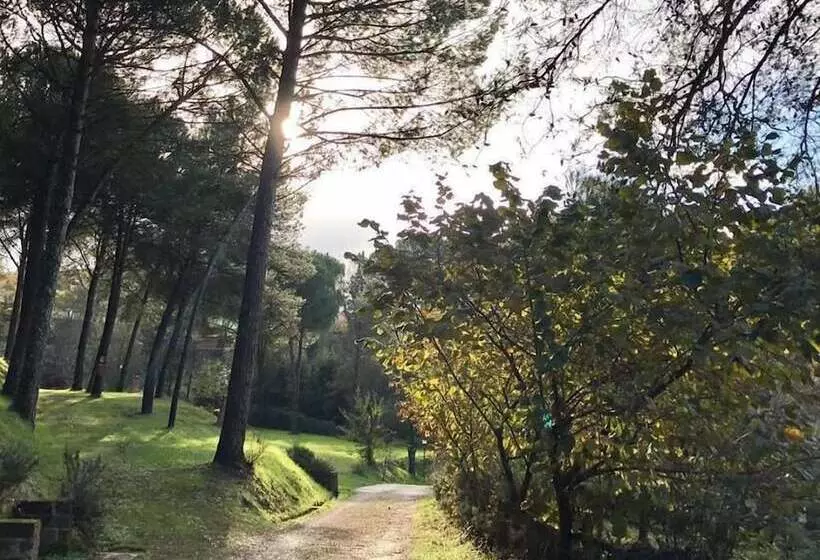 Holiday Travel Genius At Toscana Holiday Village Camping