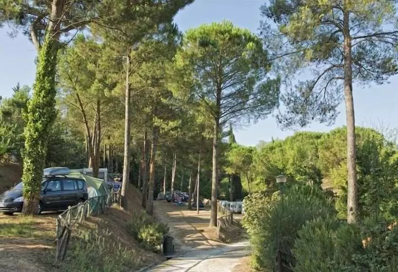 Holiday Travel Genius At Toscana Holiday Village Camping