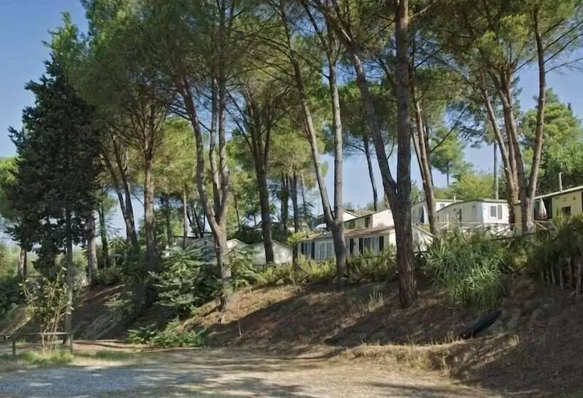 Holiday Travel Genius At Toscana Holiday Village Camping