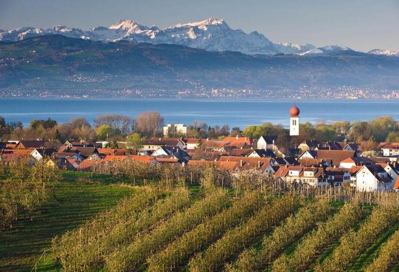 Boutique Hotel Friesinger