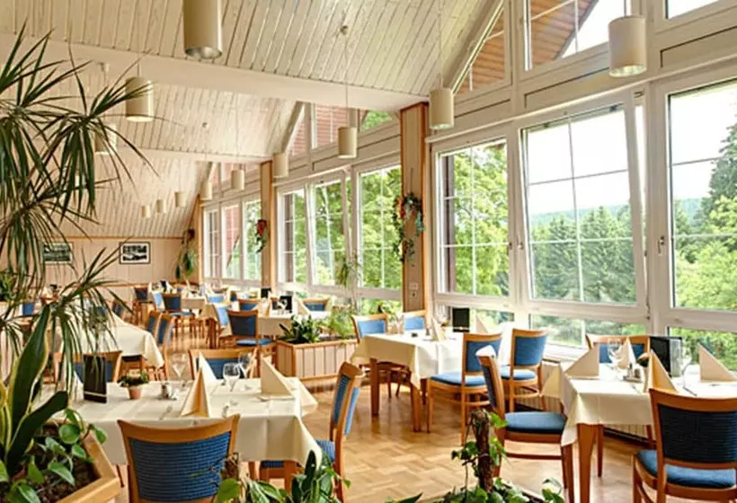 Bsw Erlebnishotel Festenburg