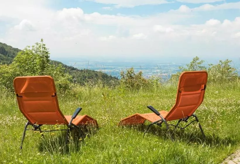 Отель Berghof Grüner Baum