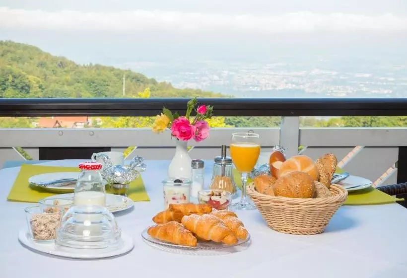 Отель Berghof Grüner Baum