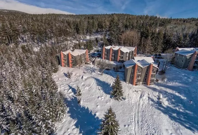 酒店 Brockenblick Ferienpark