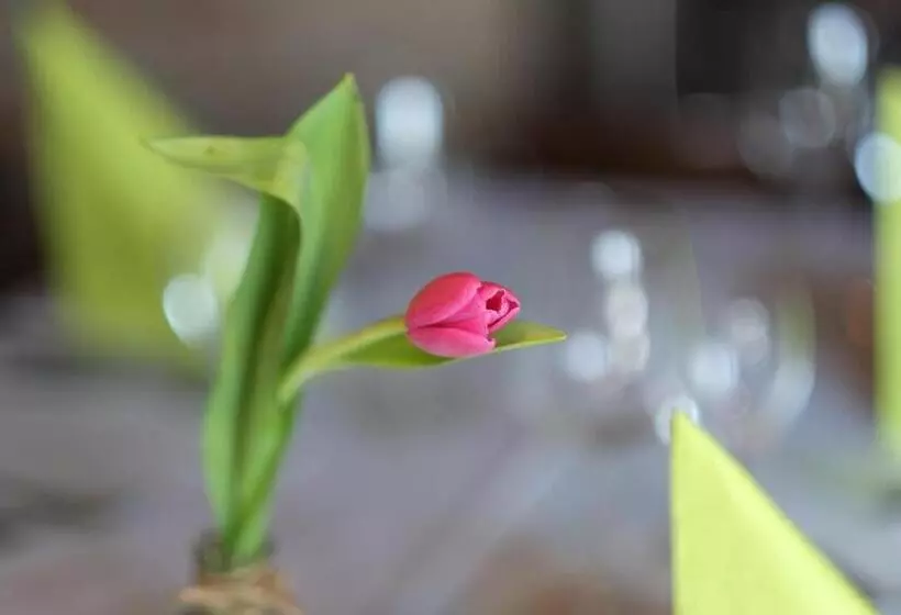 酒店 Brockenblick Ferienpark