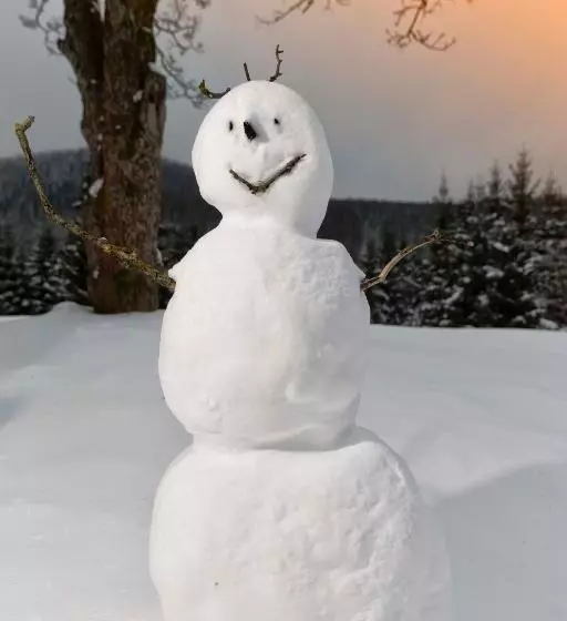 酒店 Brockenblick Ferienpark