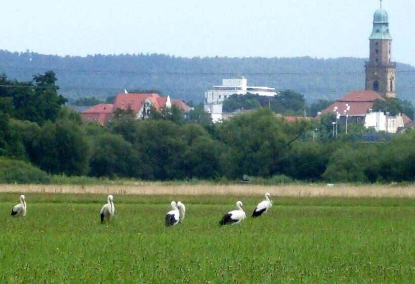 酒店 Gäste  Und Boardinghaus Klara Birnbaum