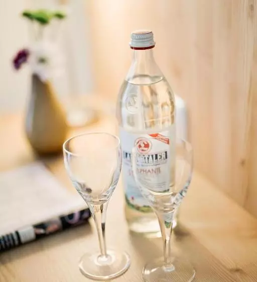 酒店 Park Cafe Reichl