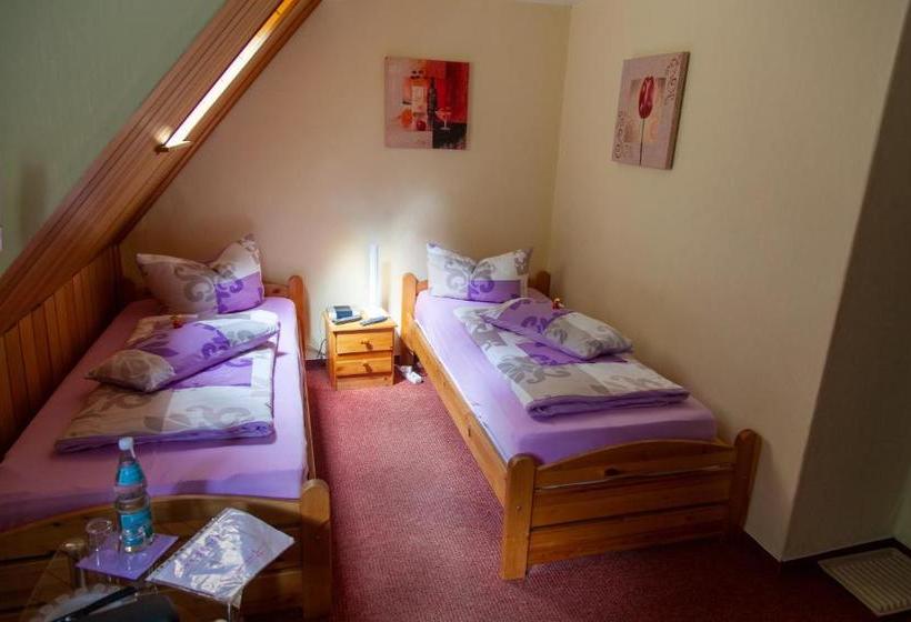 فندق Parkschlößchen Elvira Jagemann