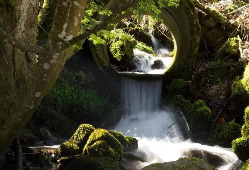 酒店 Pension Waldeck