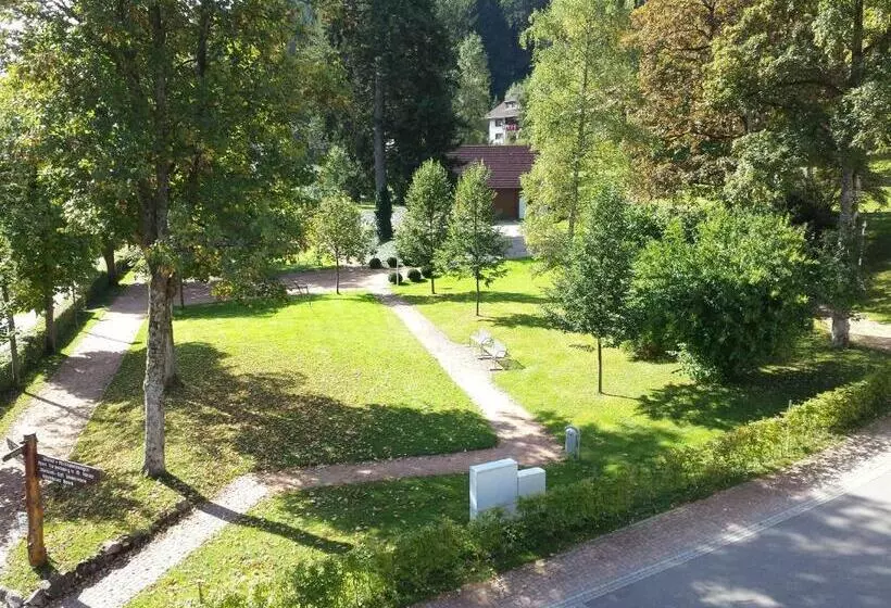 酒店 Pension Waldeck