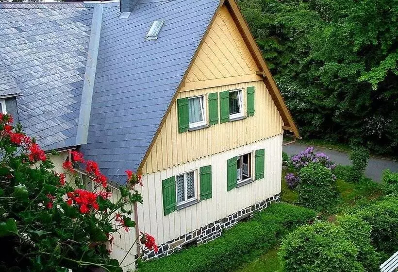 Отель Pension Wölfel