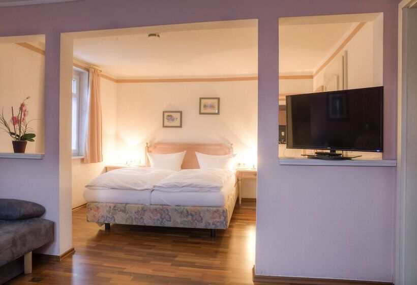 בית מלון כפרי Stoffels