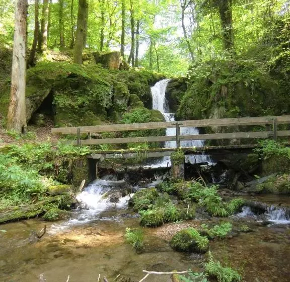 Hotel Waldgasthof Altersbach