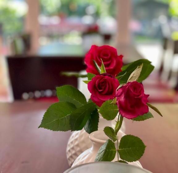 호텔 Weinhaus Hoff