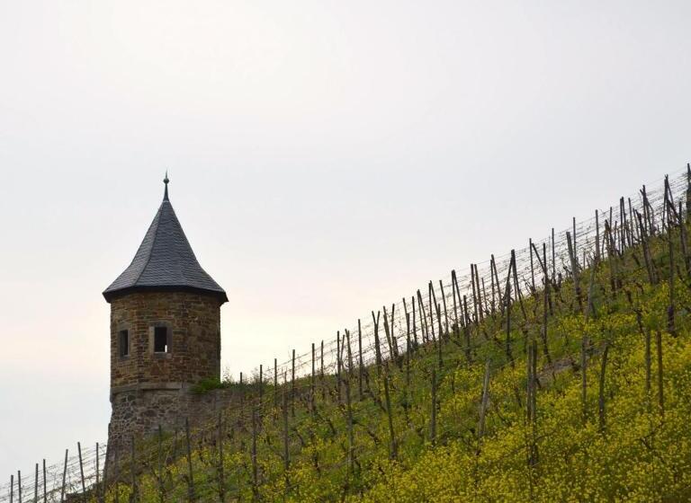 호텔 Weinhaus Hoff