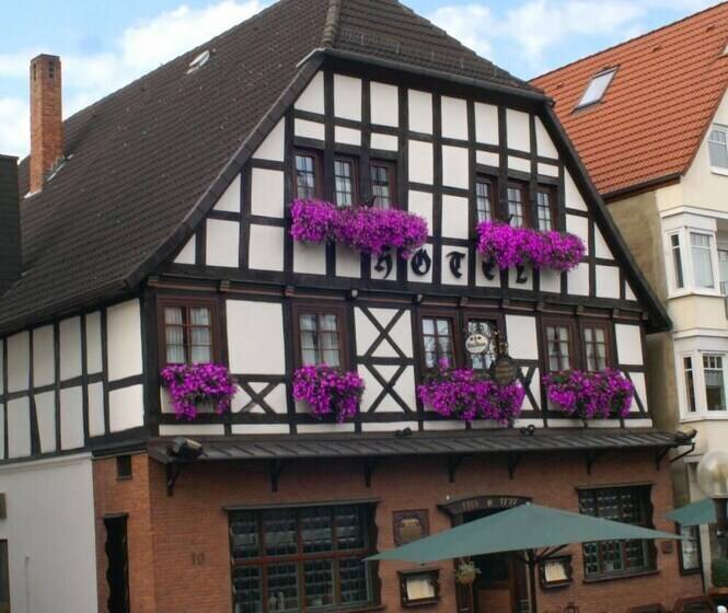 酒店 Zum Braunen Hirschen