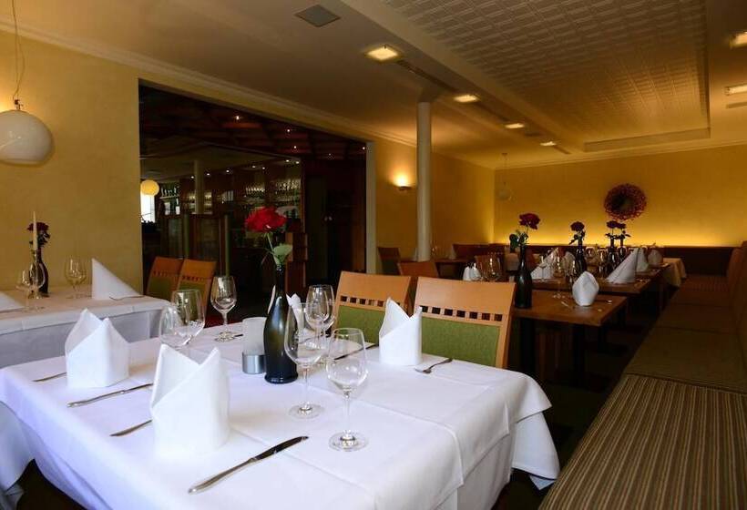 酒店 Zum Braunen Hirschen