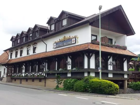 酒店 Zur Blume