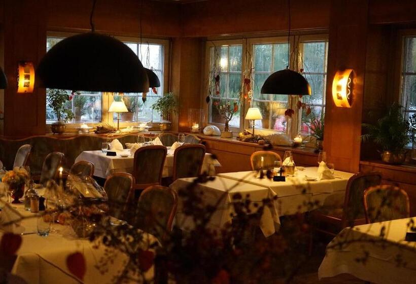 Ott S Hotel Weinwirtschaft & Biergarten Weil Am Rhein/basel