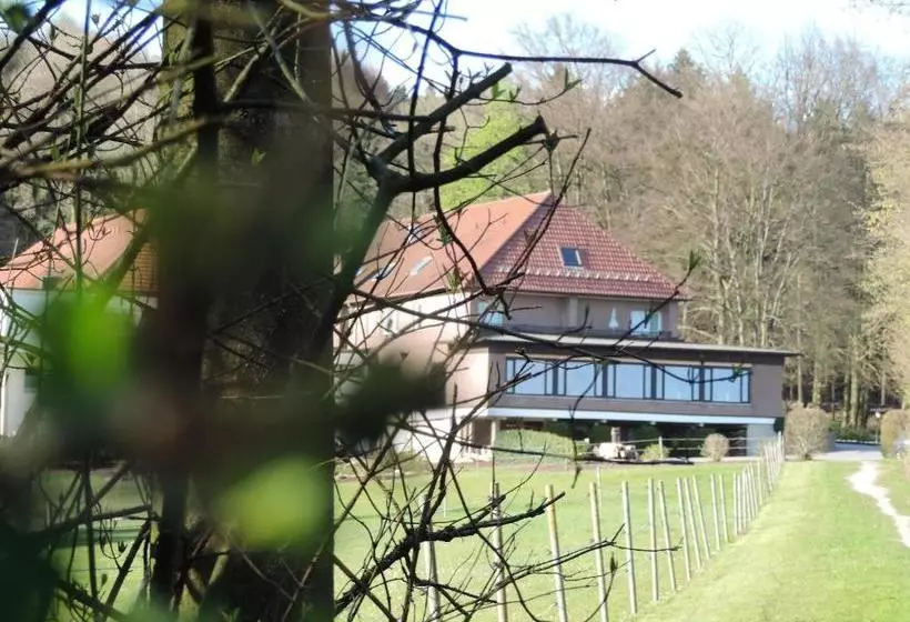 Пансион Gasthaus Zum Dörenberg